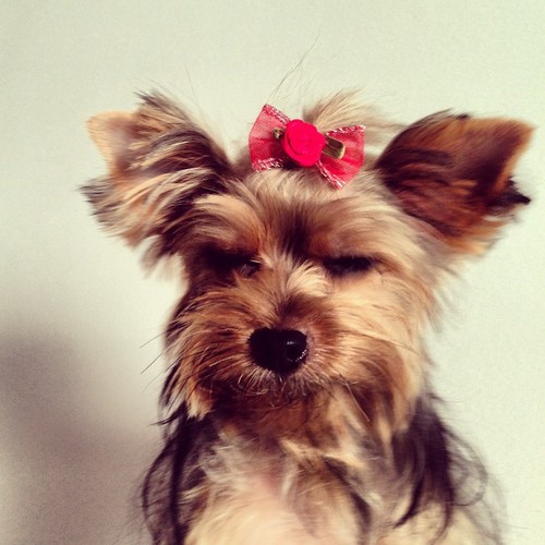 Meu tipinho…