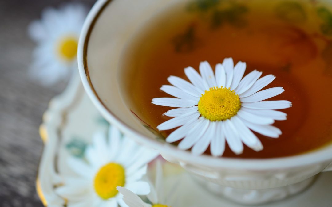 Os chás, as plantas medicinais e os seus poderes de cura